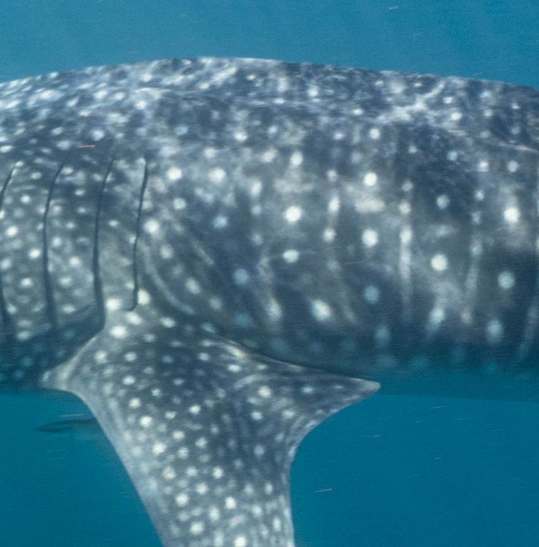 0d506037-2226-4392-861e-6dd8d1a7696b