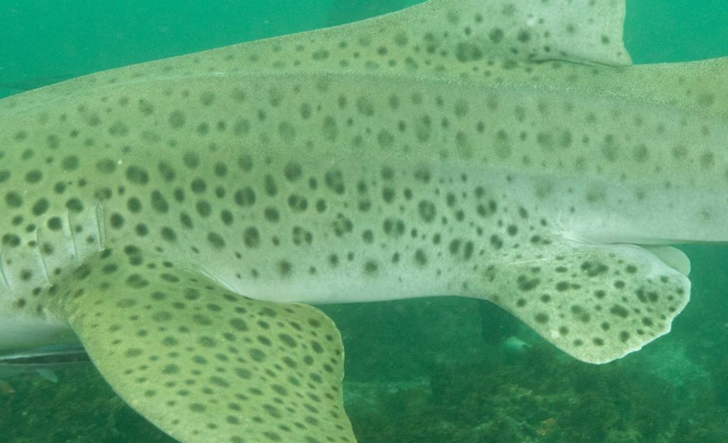 92b8c15e-8f8a-4395-aa83-22077c8abec2