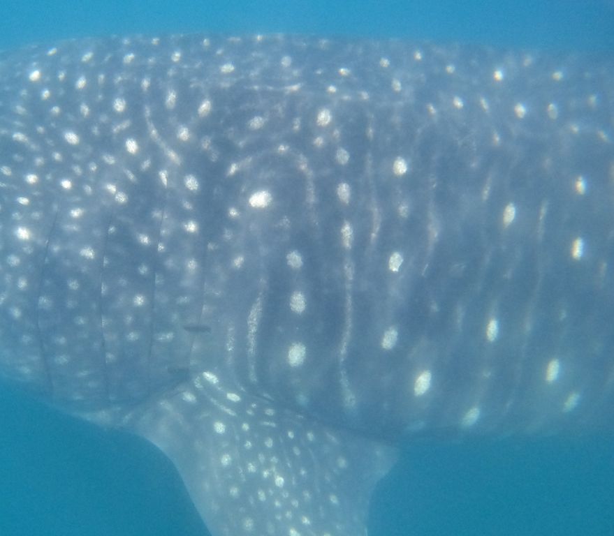 04152c5f-9ae2-4c1f-b80f-2c5cd8aade1e