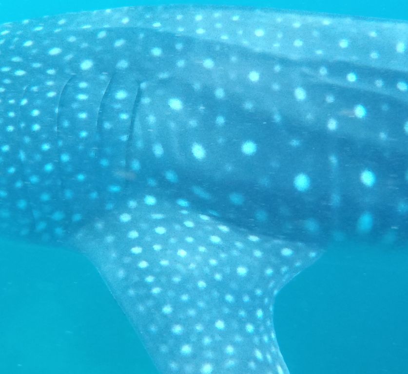 b75dba2b-17e9-4246-b00d-1dd374da6dbb