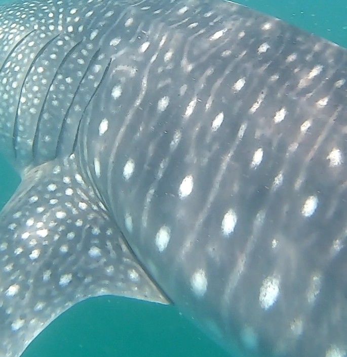 a81ba7bf-3c66-47df-aaa6-e0f39712c1da