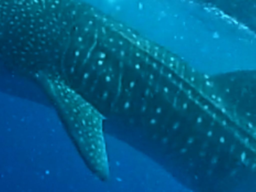 6dfcf916-775a-4ff5-89ee-33128a648c11