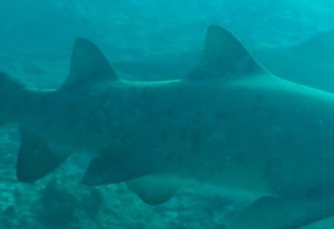 a3efde3d-11a0-492d-8d01-bb63aa93daee