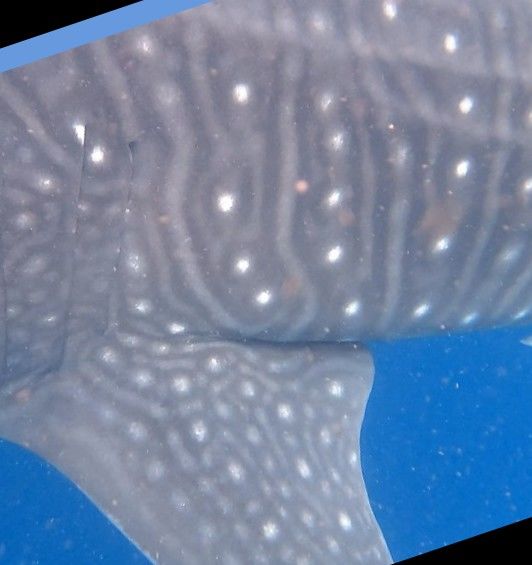 70a87e35-05e1-472e-8cb8-58643663a36d