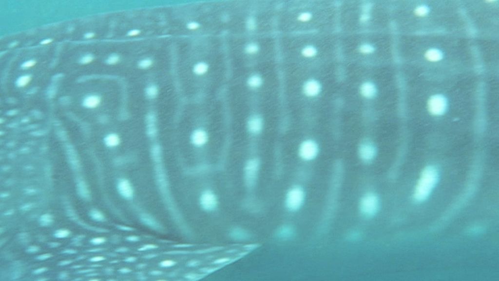 d12cf4f2-ff2d-4565-8fa3-254111b39a25