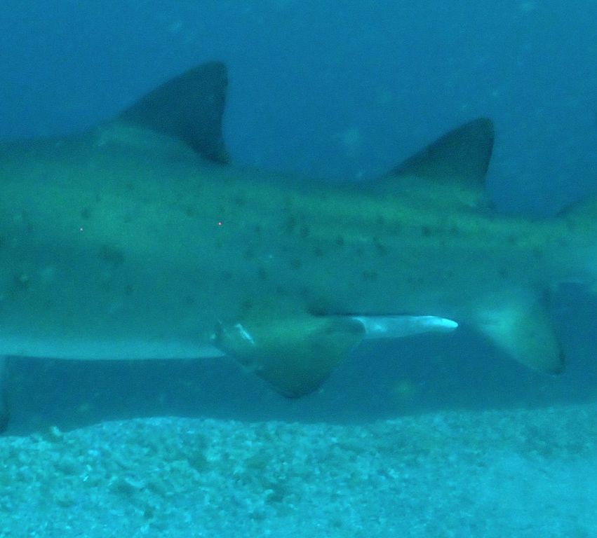 b3470b8e-3c8b-4e3f-99e7-dbc2b54b25d7