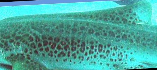 38dd91af-aa94-438f-a041-466acb4467de