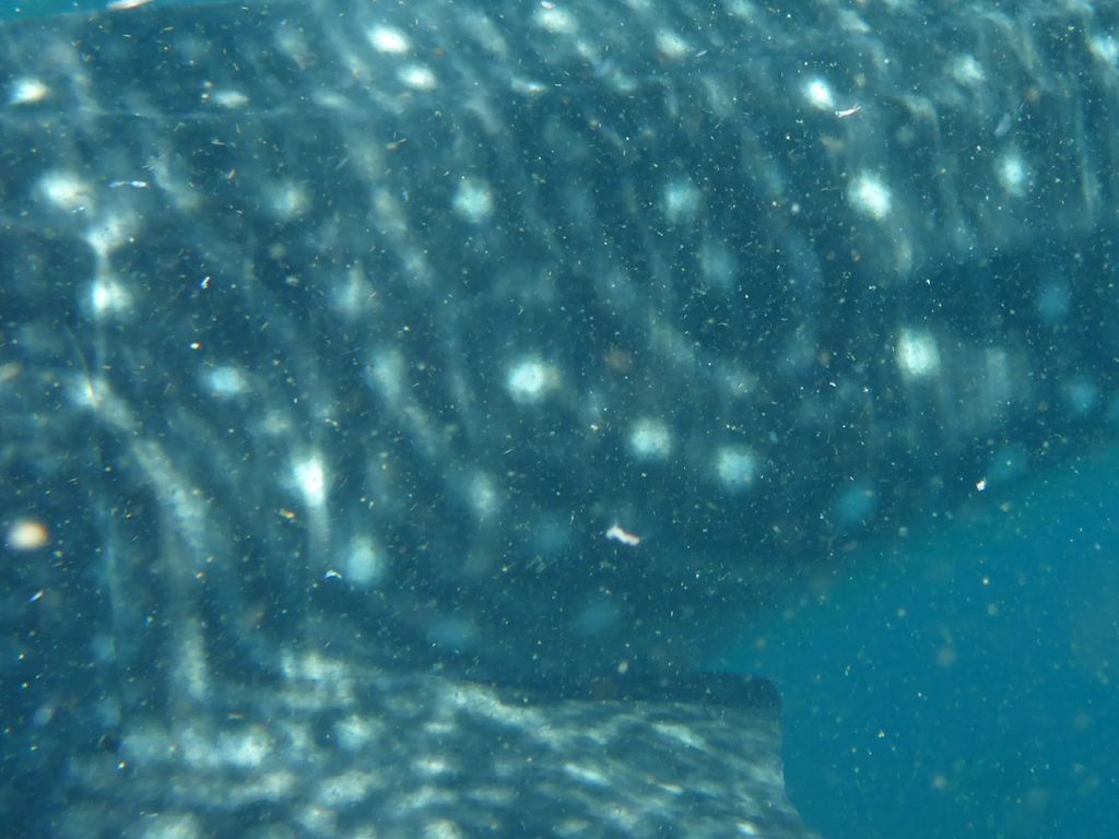 9b7acda4-aa5a-4298-a068-8cff4375bbdd