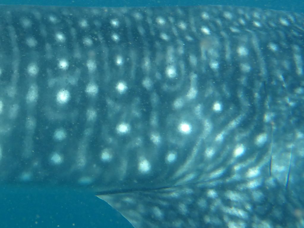 9b7acda4-aa5a-4298-a068-8cff4375bbdd