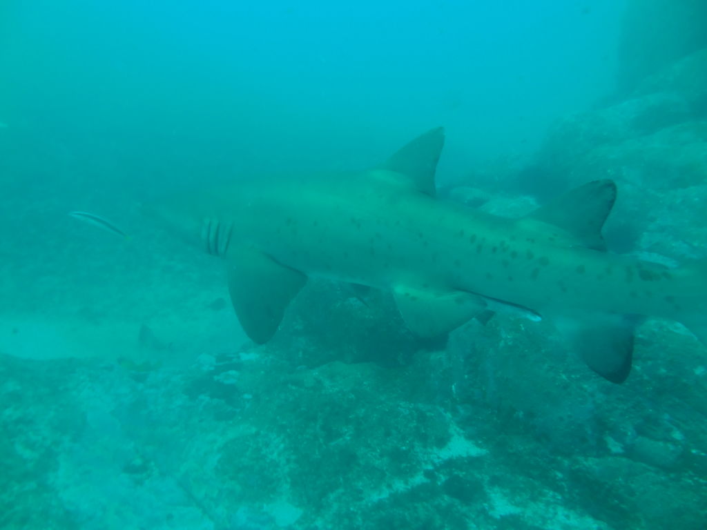 4ab16519-7bd8-4418-bb37-c81bbb5bb222