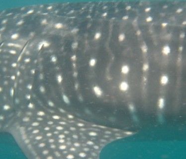 6922a1cb-3196-42cc-bd95-fcdf8b1aa1d2