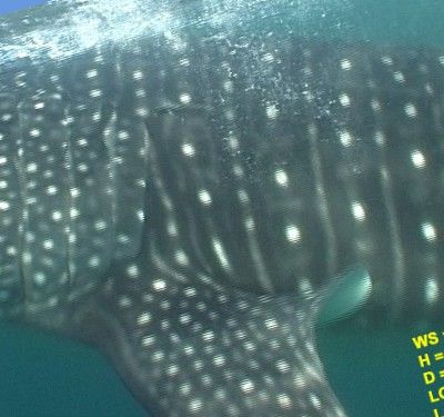 458350c6-89c0-48d1-9c0f-579fc3de9bee