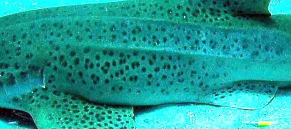 d5116b24-29e5-4177-9e21-6c71c19ddfee