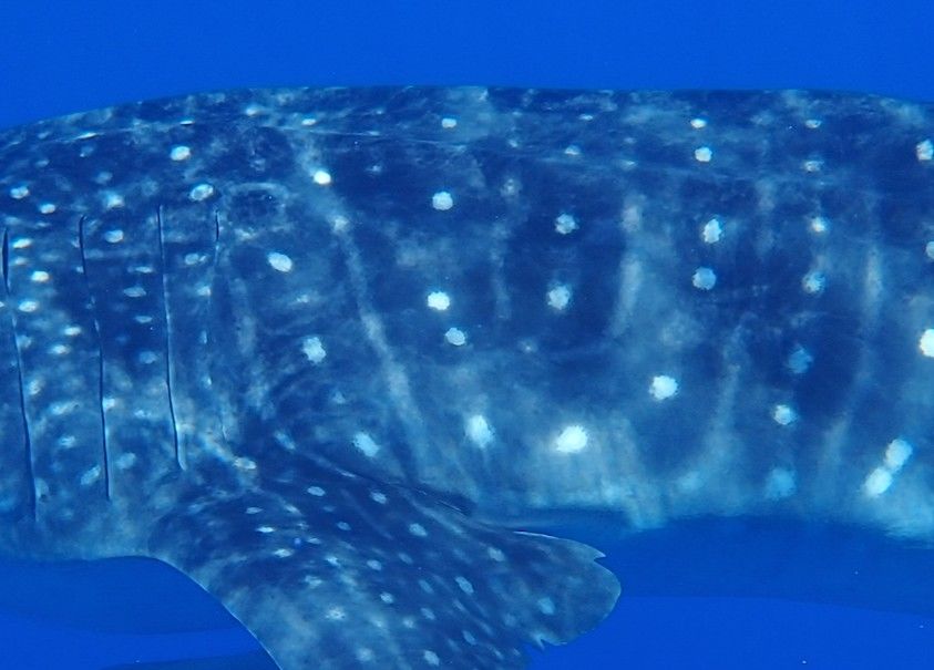 f25db465-b5ce-49b5-8238-36b5c243846b