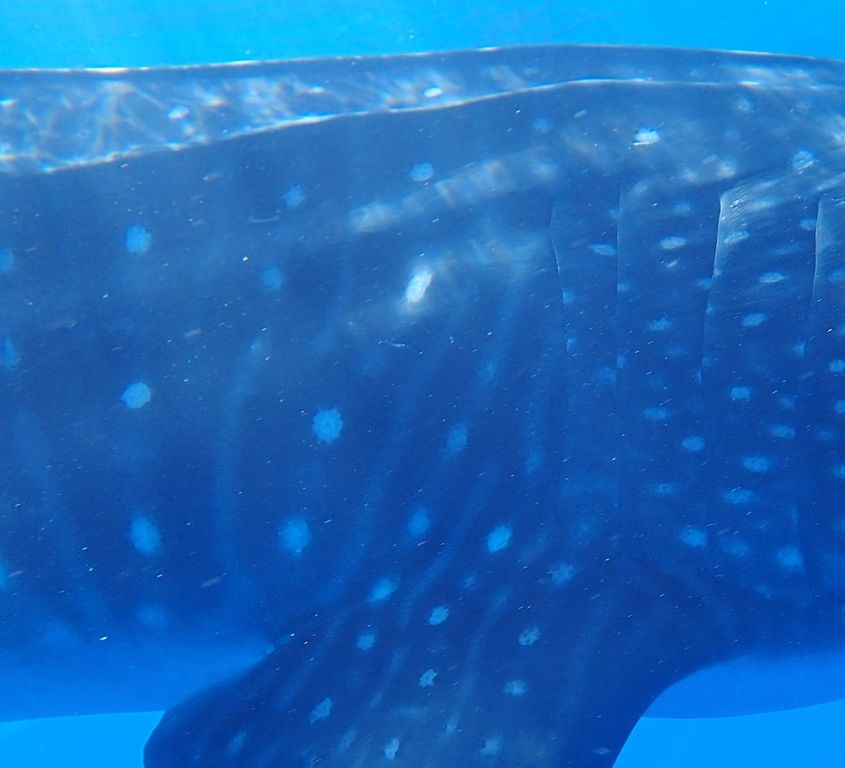 f25db465-b5ce-49b5-8238-36b5c243846b