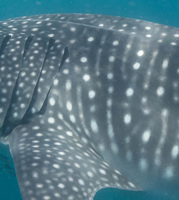 a39191f2-3197-4d78-a82f-eea00979f87f