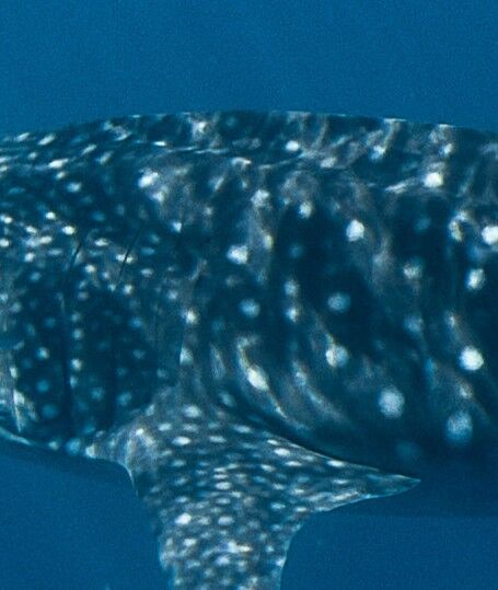 1bf558e1-4672-4243-a6c1-7a4710bc426d