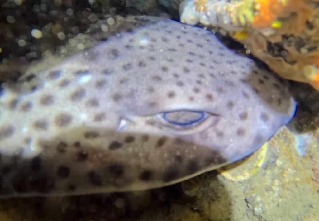 0d9a6d8f-27b0-4a24-8997-645d5e9d416e