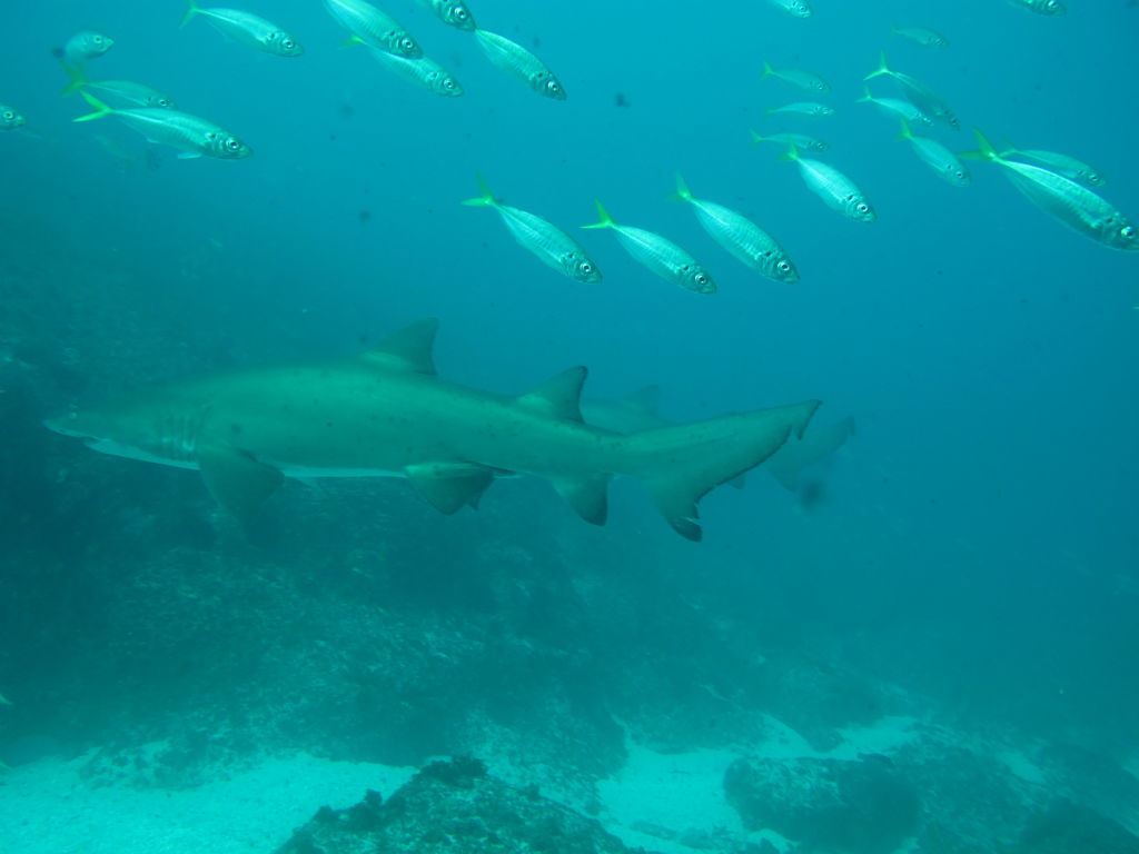 a9de3d92-3d1f-4bed-b15f-9e2a3deb414a