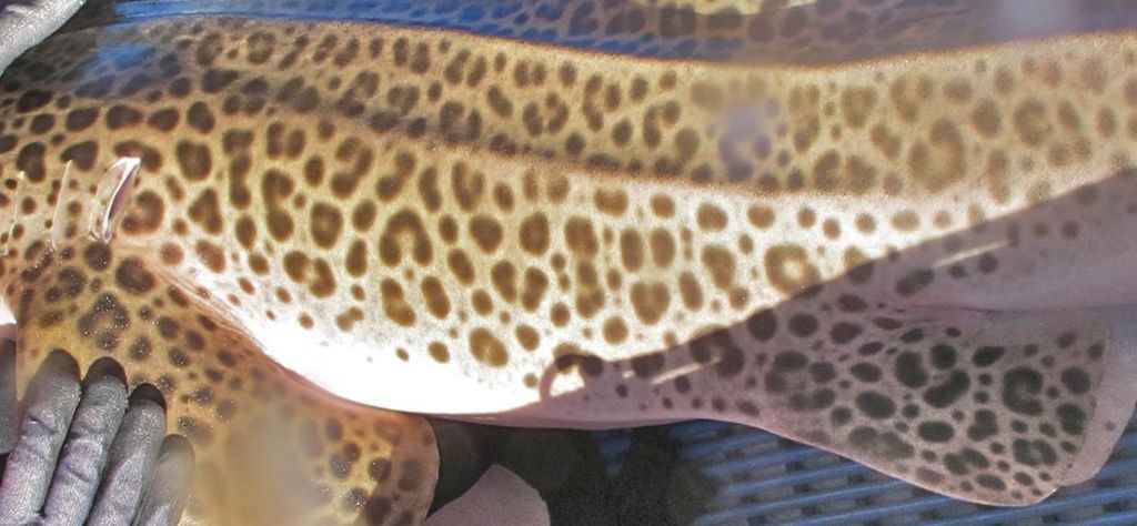 dc9be1e3-3acd-499e-9220-0313359ba2b3