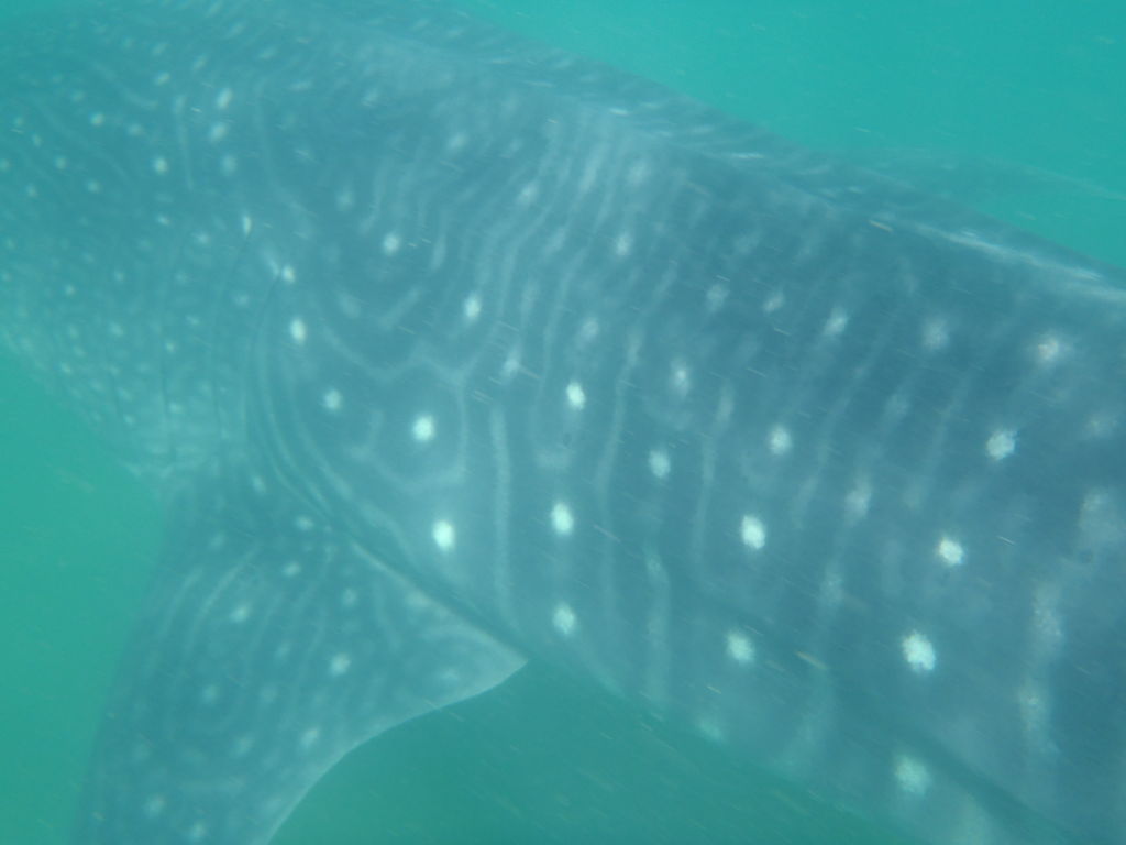 d1799575-3c02-482b-951b-1835fcf63d36