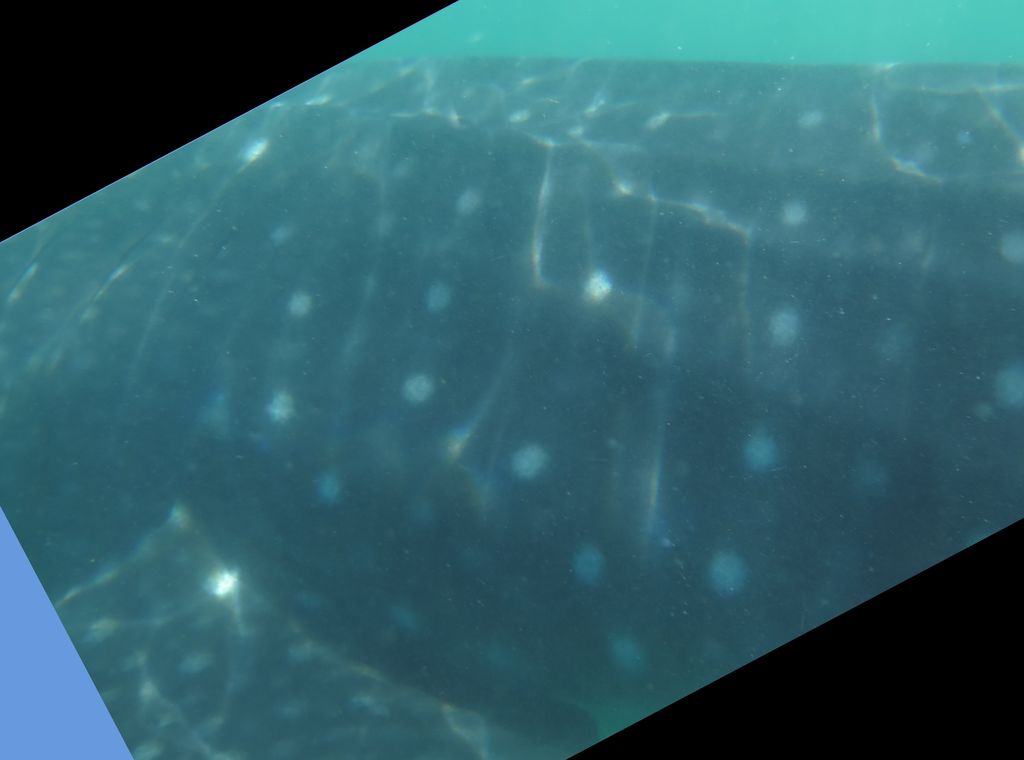 103fe0b7-bce6-4694-86db-c5bb5ba37466