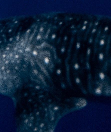 2f541f82-f24c-414a-a827-604ff6dd8335