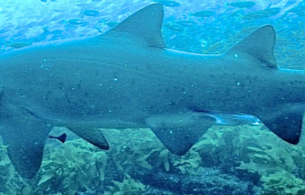 5bd70b25-9df8-46ca-a63b-bf51ce5905e2