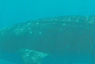 d1e8381f-734b-4a00-a90c-a64a2b6249c8