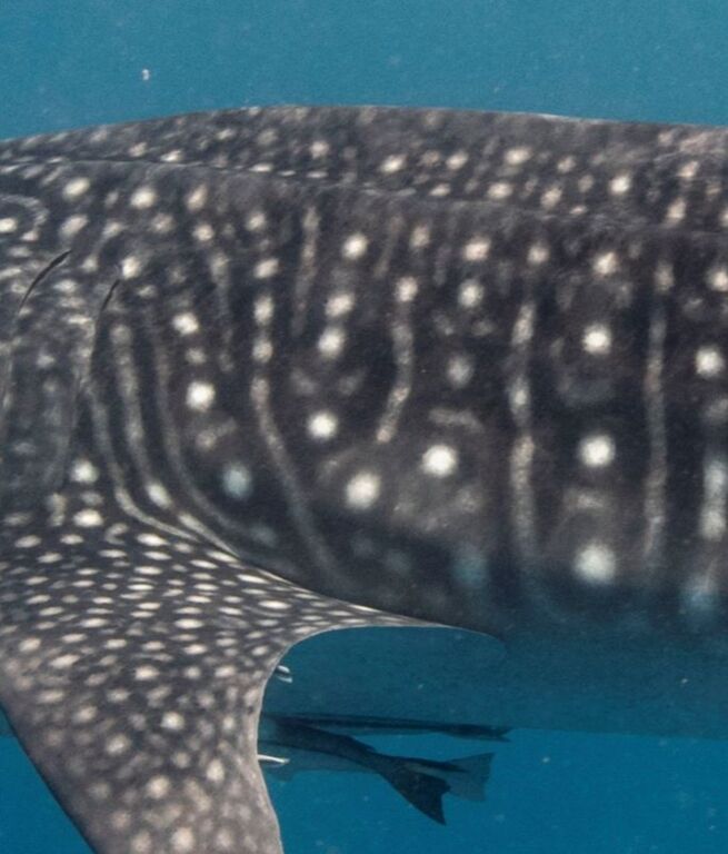 ddc76a90-e50d-48ba-869b-b72c2b22847c