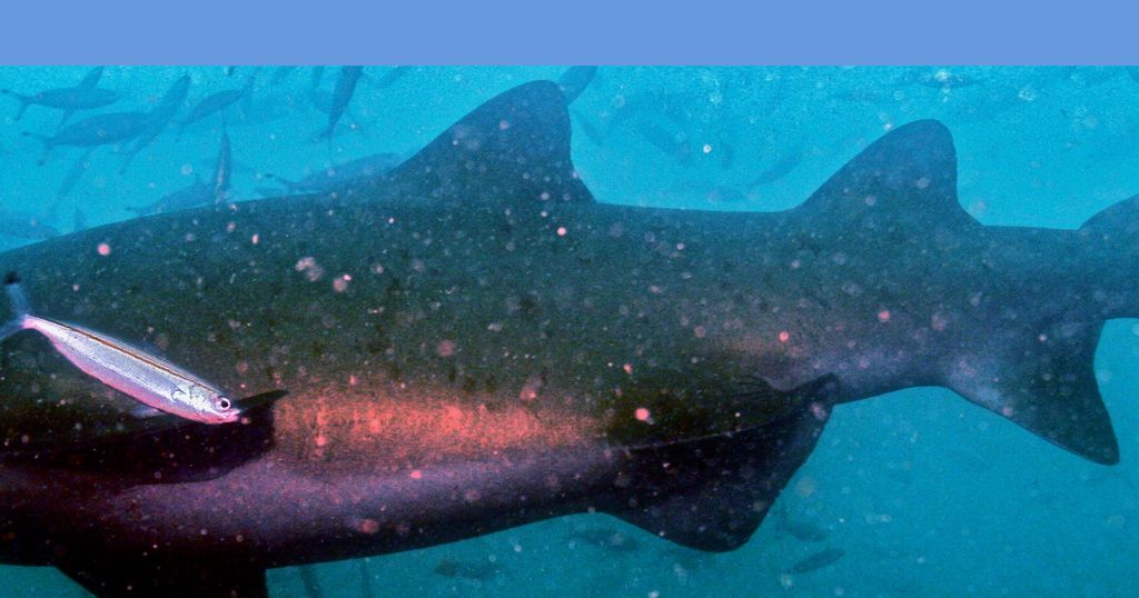 c1ee353b-a5b6-4f8f-b0be-c80a8dc2a2fc