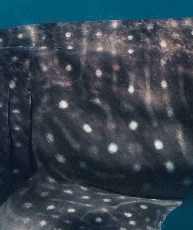 e0d1cc74-13e2-4d2a-8a40-7b16917fd55d