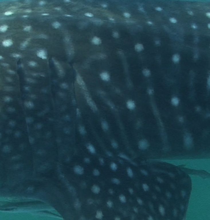 5ced9fd9-0863-4a36-afe8-4e4b4173e6cc