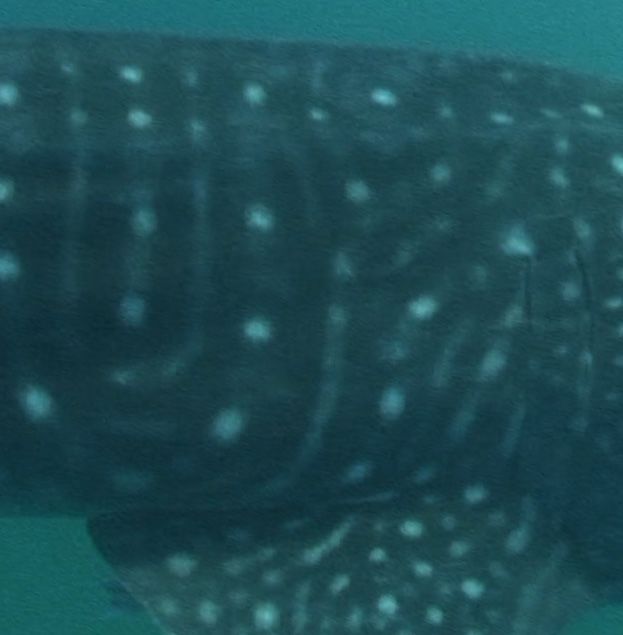 5ced9fd9-0863-4a36-afe8-4e4b4173e6cc