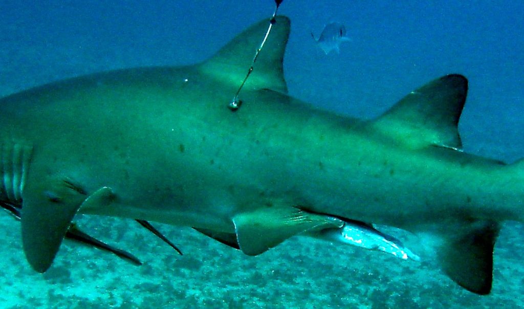 8e7f0035-f040-4778-a662-db7932ac3e18