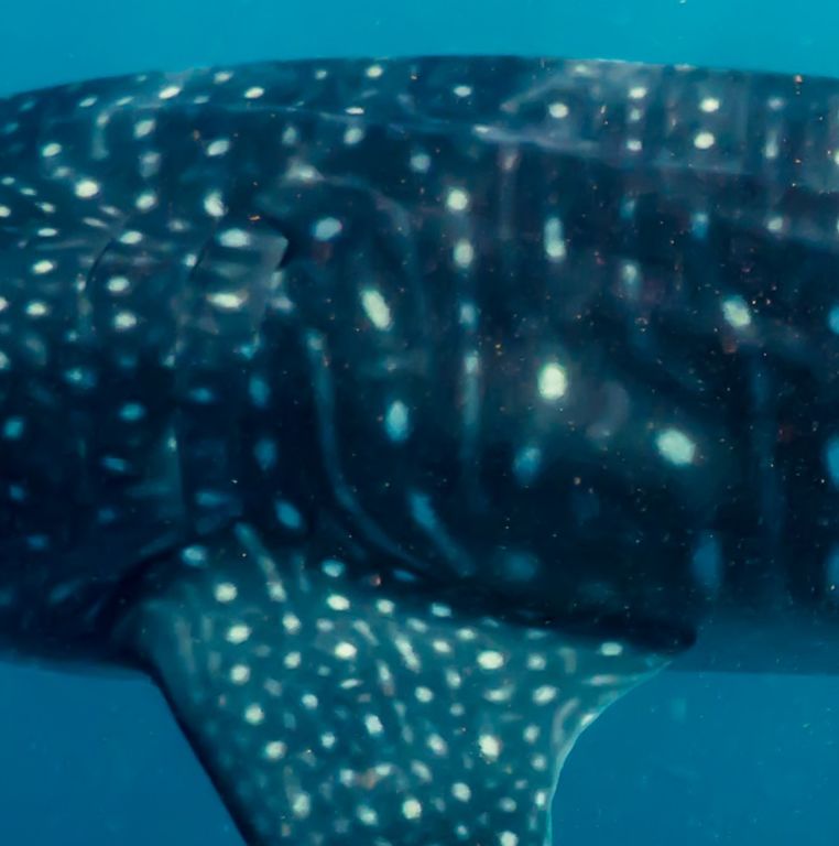 49545054-3d0e-4a2b-92e7-0b69b7610ec5