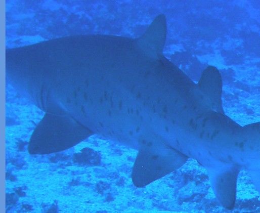 d96f215e-6289-4072-b12f-d821fdc848fb