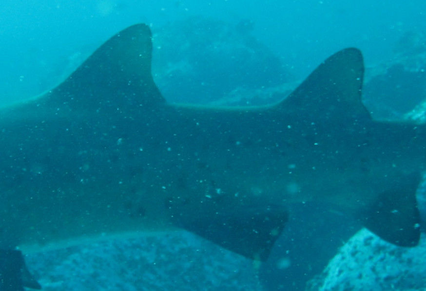 dd5e2a4c-c592-425c-9a57-39a450aaebe9