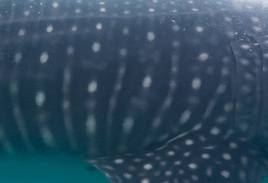 0861b831-648f-4d9e-bc45-015f84a07d95