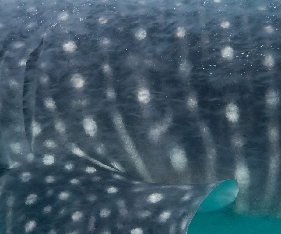 0861b831-648f-4d9e-bc45-015f84a07d95