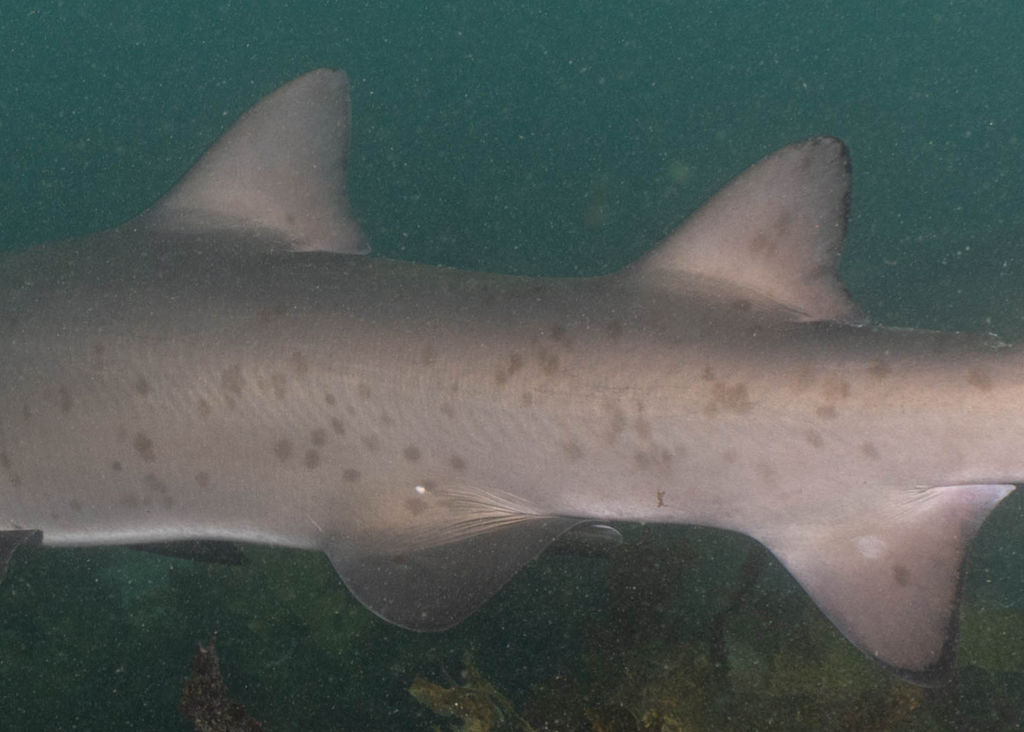 466d20d8-5dbf-4f3b-ad46-114d9b233e5f