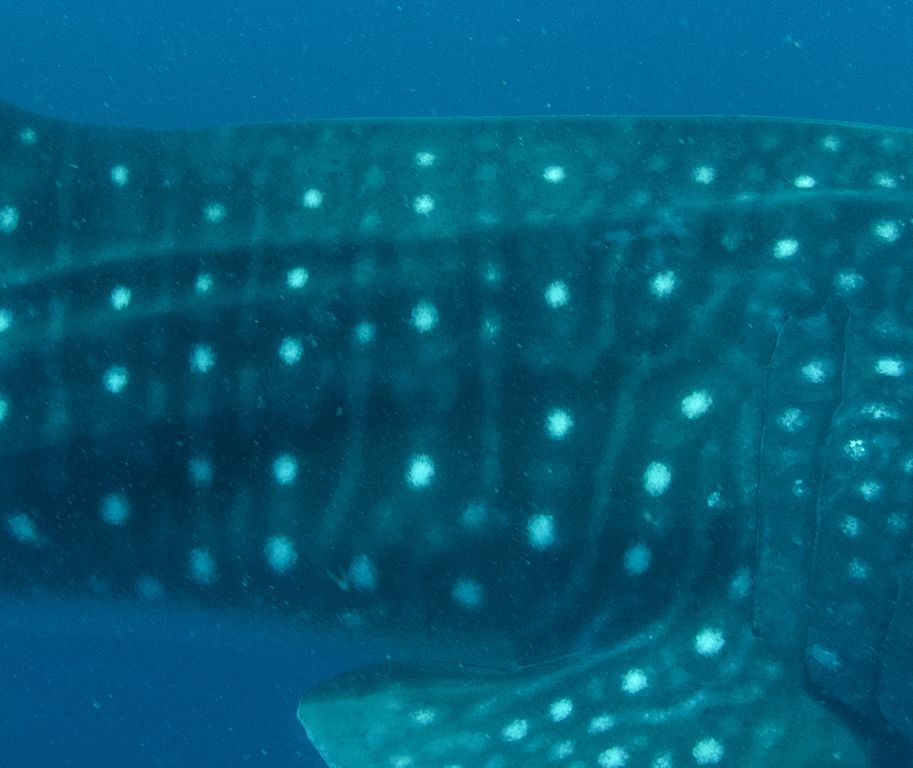 0fc91017-61fb-49aa-900f-1b28c39aa8fb