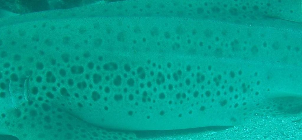 6a71fbbb-cbf2-40b8-bbe6-fd77d2197e6b