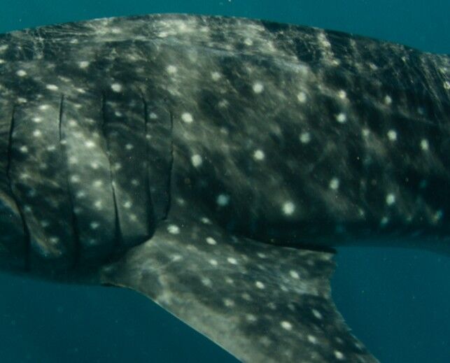 a150ff26-a408-455f-aae6-d1c0deb3defb