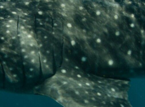 a150ff26-a408-455f-aae6-d1c0deb3defb