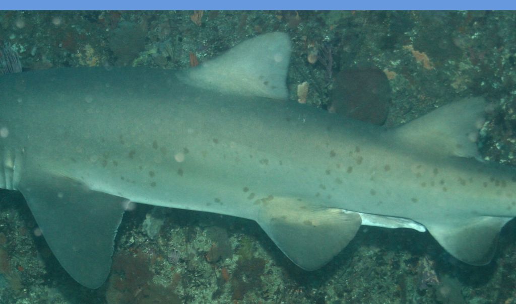 ef064a19-1460-48d4-aece-73faae828340