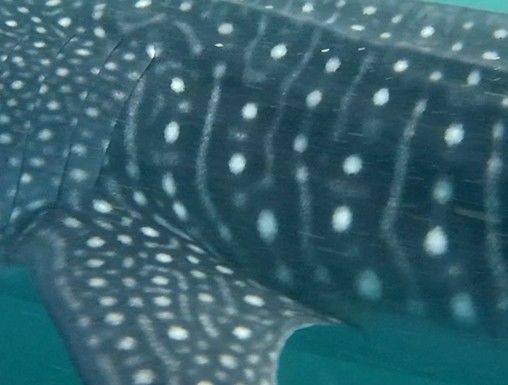 4db2a4eb-73a3-4fe4-8a87-599739500528