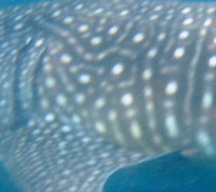 b71c26a1-9972-4813-acad-d44b1c2c6943