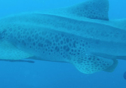 d57e04ca-4fb2-4639-8a06-074974cfdc00