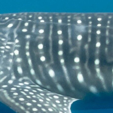 78c15023-3269-4929-a867-280c5a2feb97